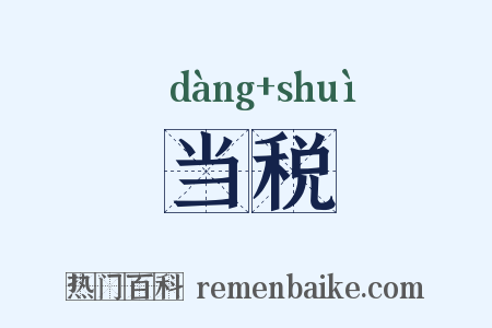 当税是什么意思的图片